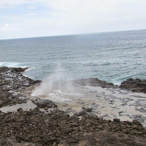 Meet your Posher, Zaylie